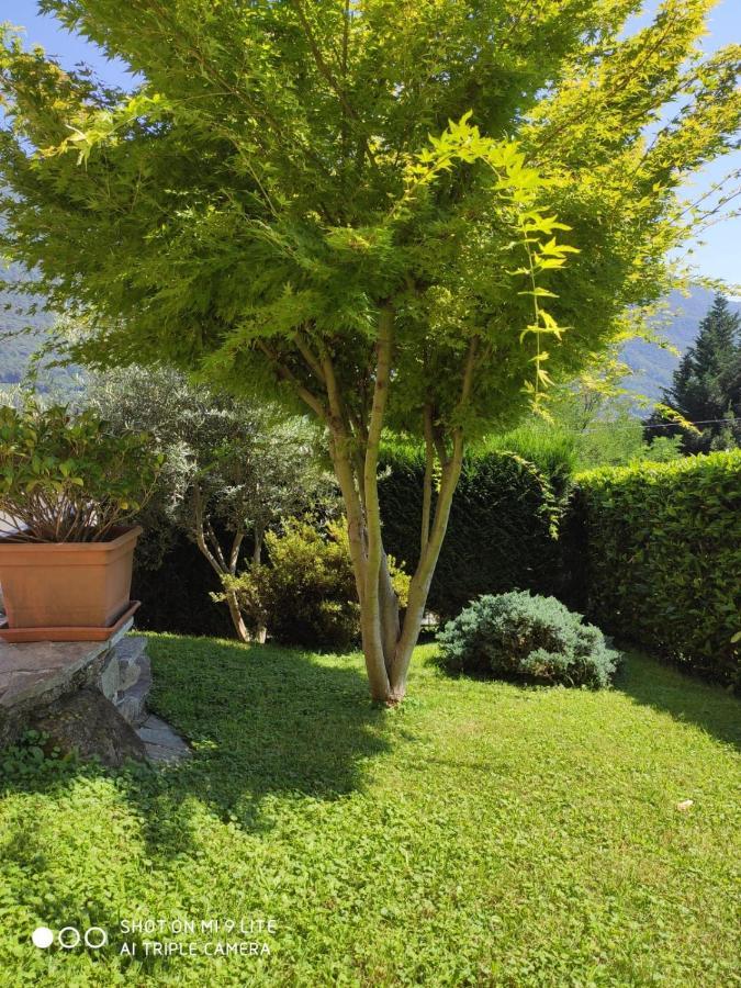 Casa Vacanza Il Glicine Casale Corte Cerro Екстер'єр фото
